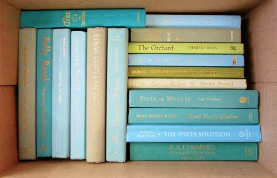 Books By The Foot Box Instant Library Home Interior Design SEA GLASS GREEN BLUE Color Therapy