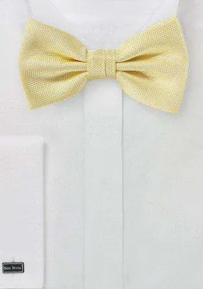 Butter MicroTexture Bowtie