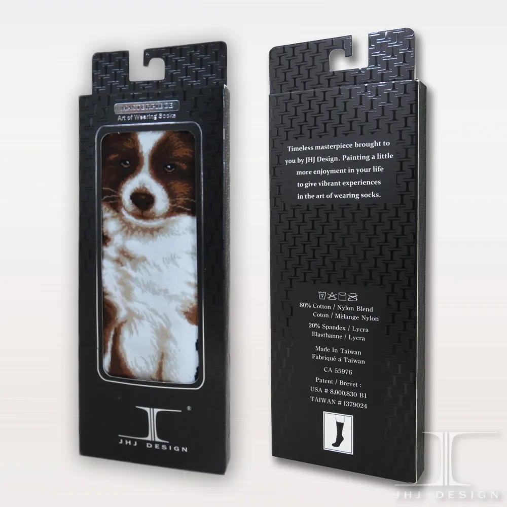 Dogs - Border Collie Men Size