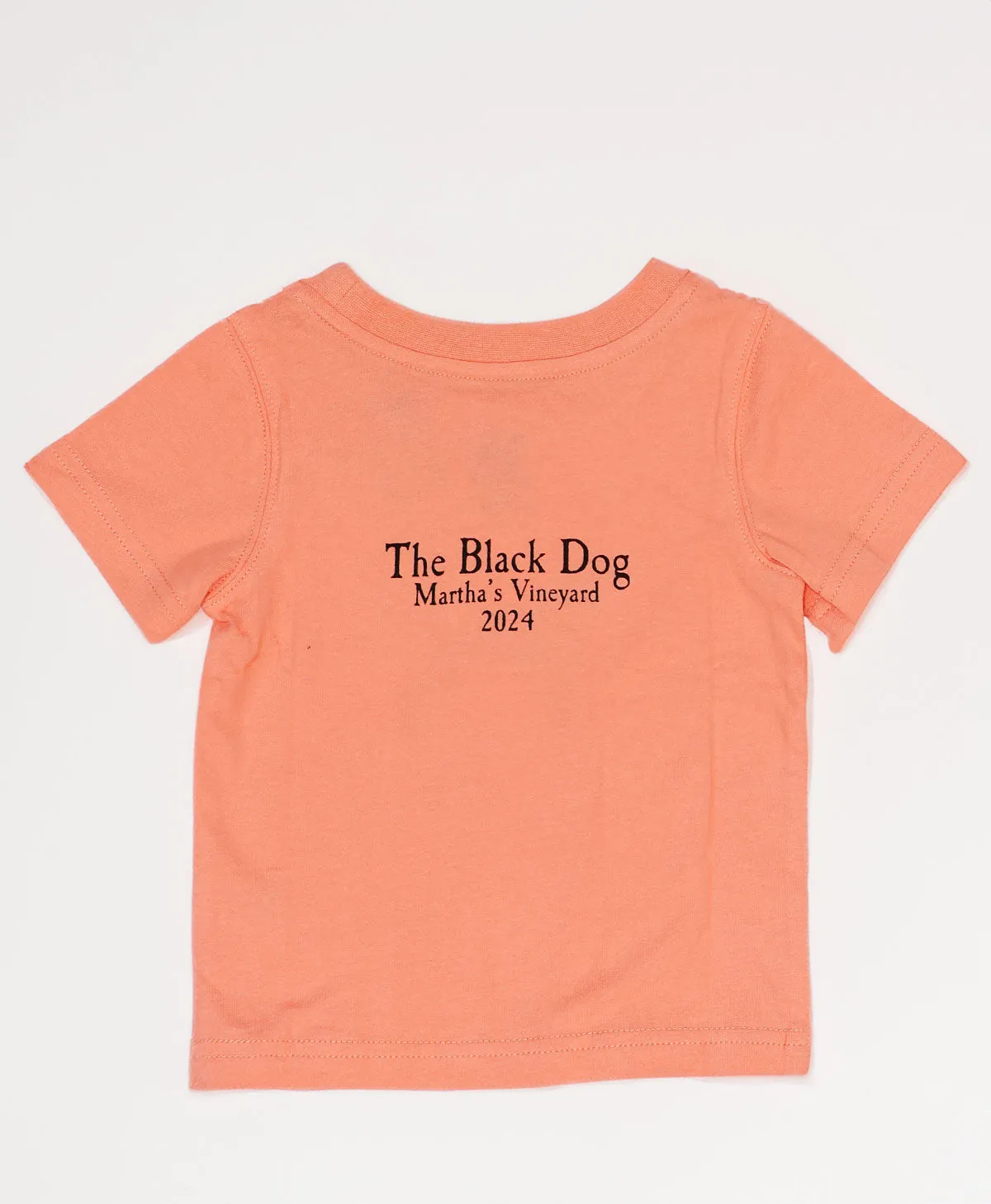 Lil Kids Martha's Vineyard 2024 Classic Tee