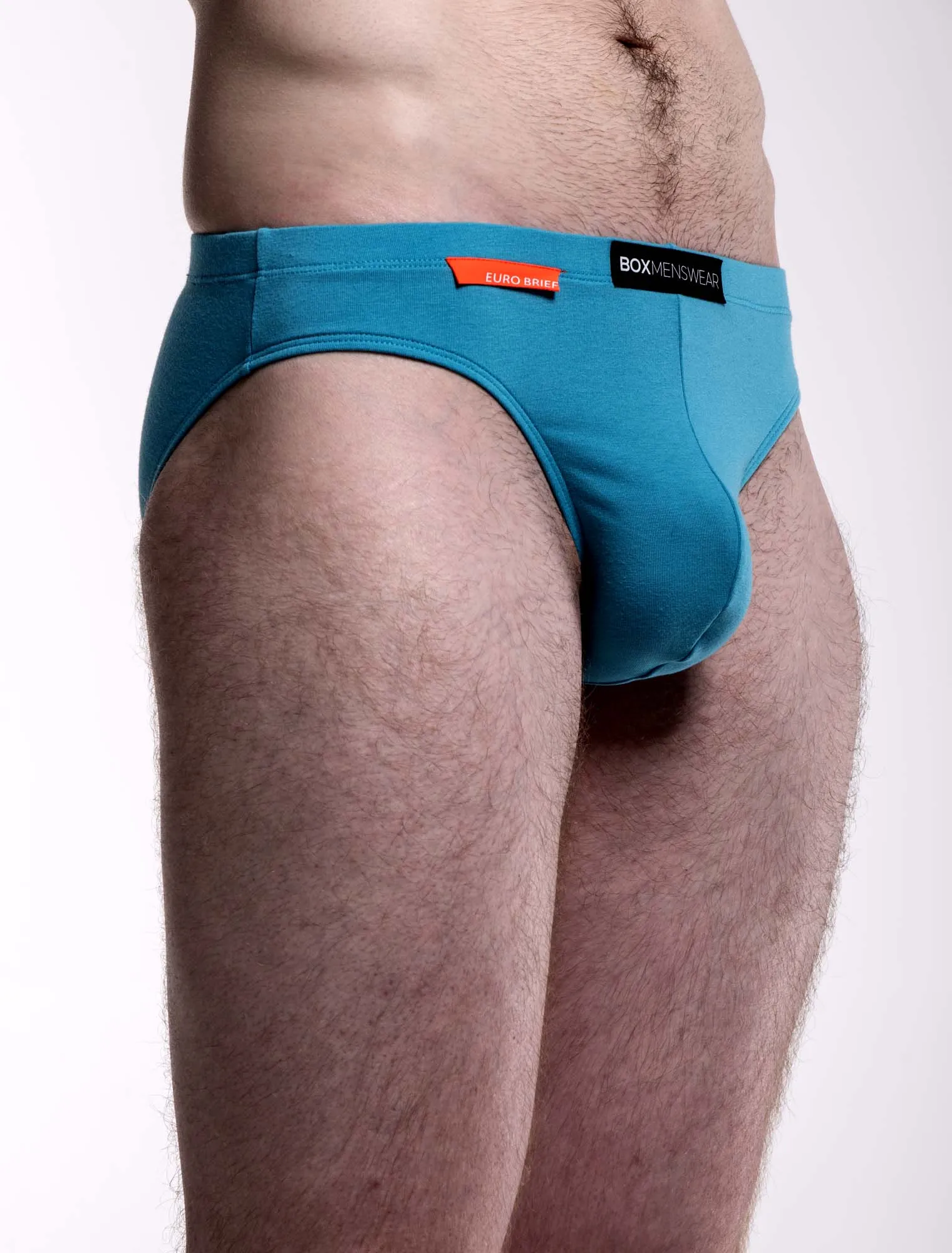 Mens Euro Briefs - Danube