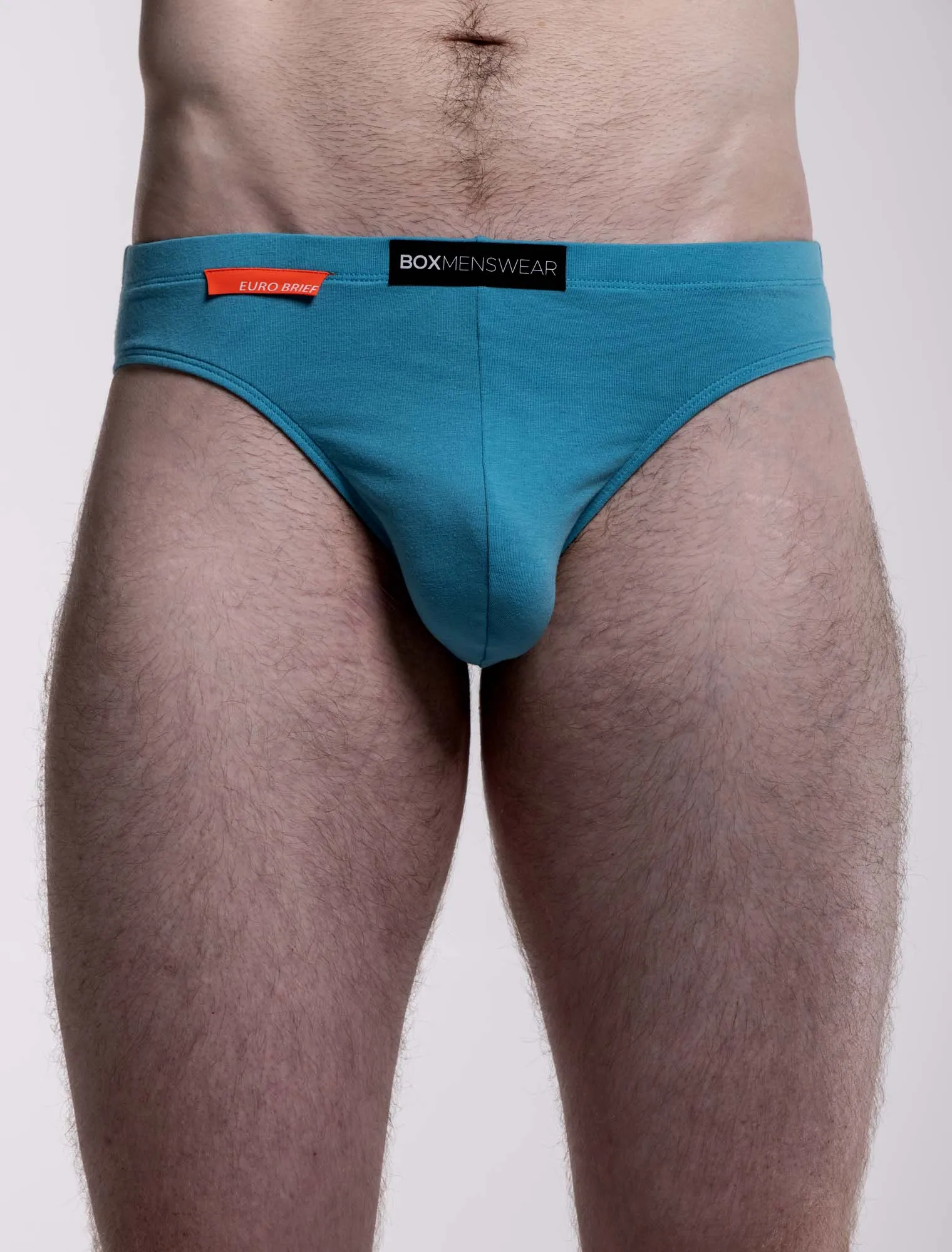 Mens Euro Briefs - Danube