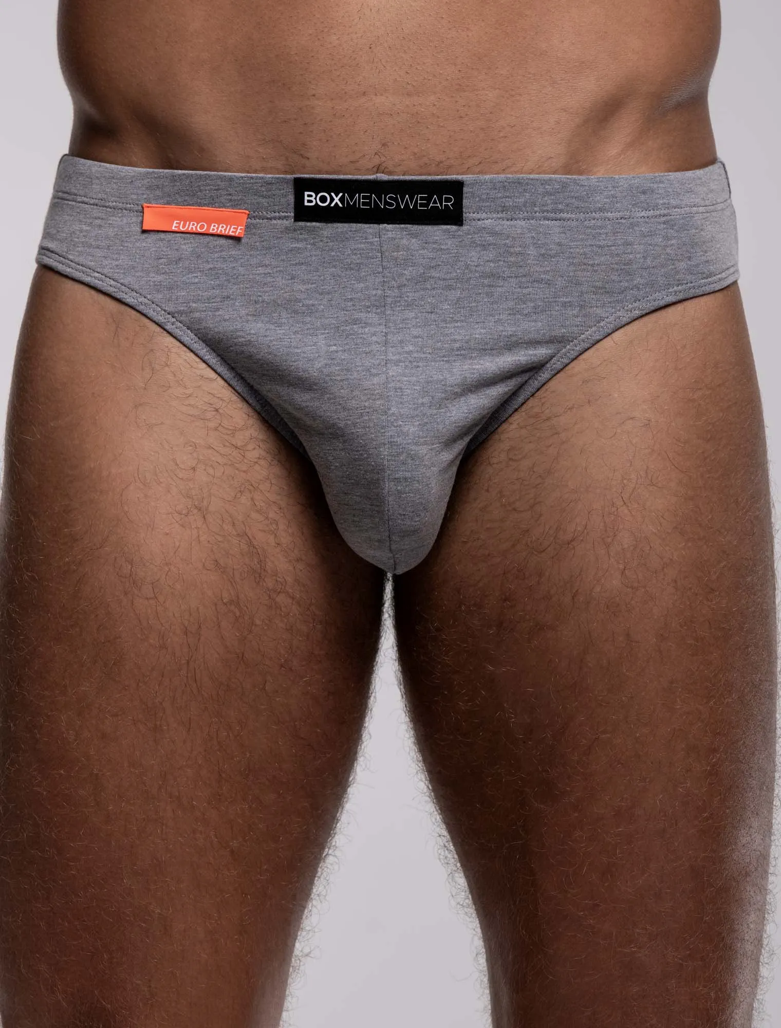 Mens Euro Briefs - Igneous