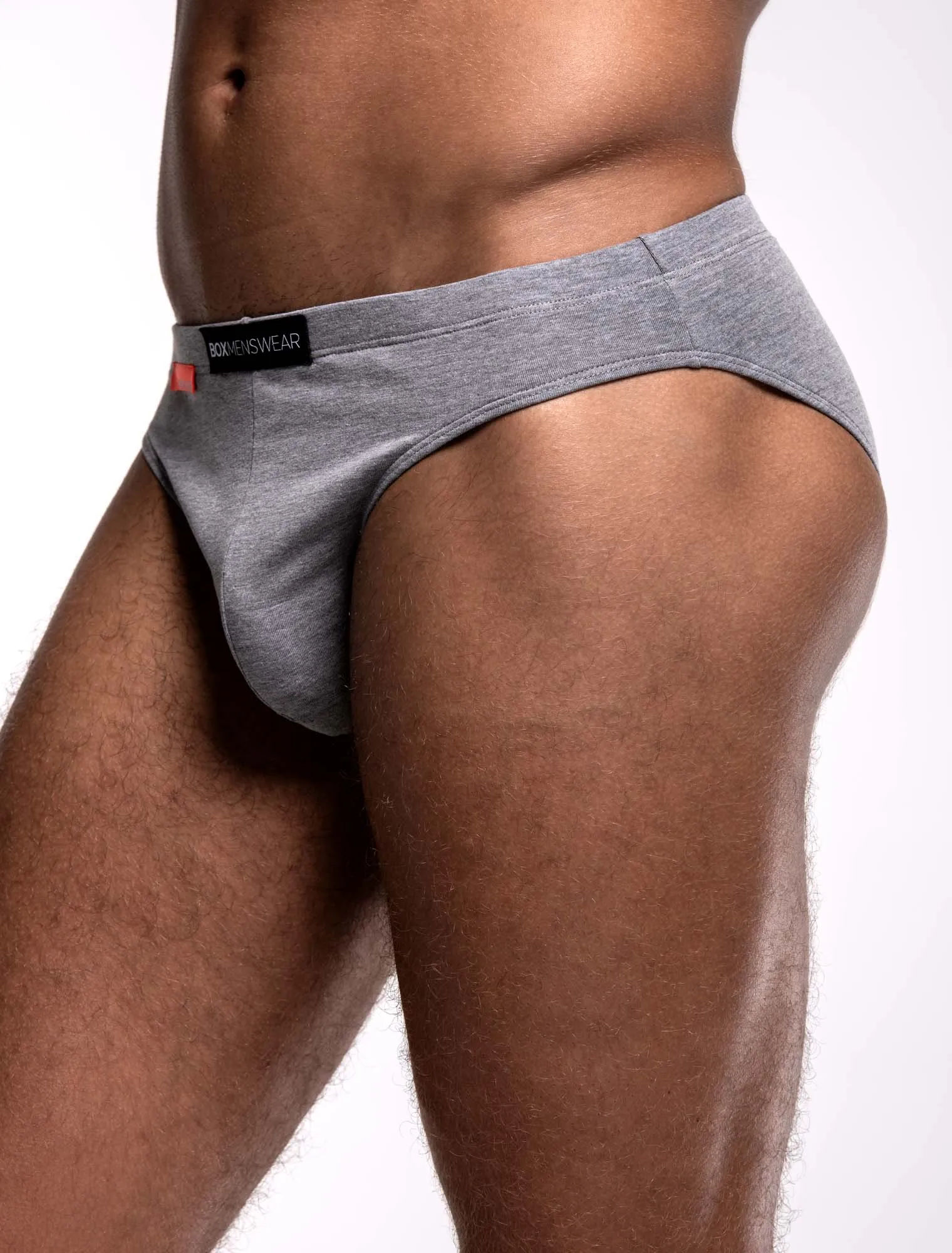 Mens Euro Briefs - Igneous