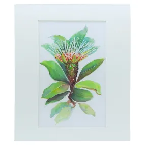 Peggy Macnamara Plant Print