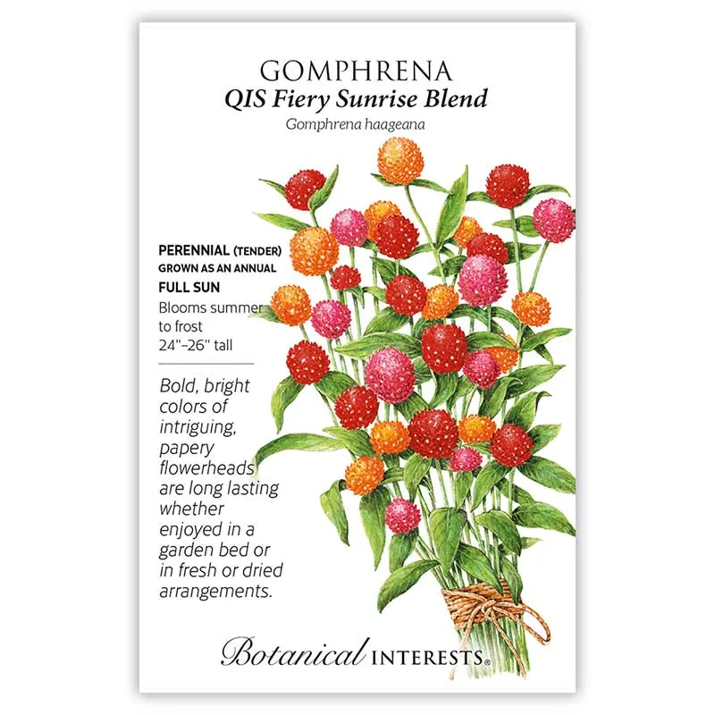 QIS Fiery Sunrise Blend Gomphrena Seeds