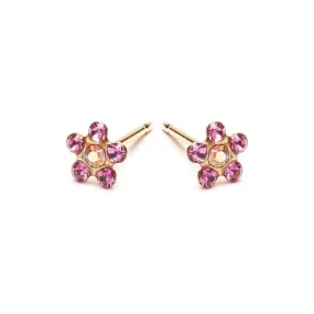 Rainbow & Pink Gold Plated Daisy Earrings